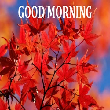 Surgical anatomy of major salivary glands