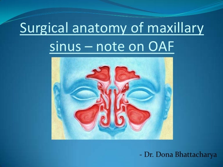 Surgical anatomy of maxillary sinus – note on (2)