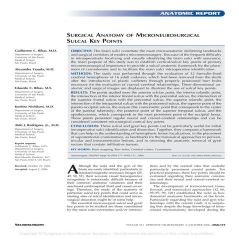 Surgical anatomy of microsurgical sulcal key points