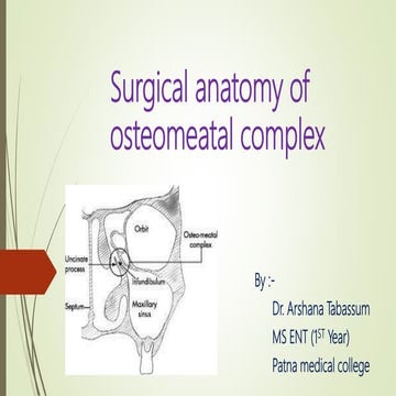 Surgical anatomy of osteomeatal complex