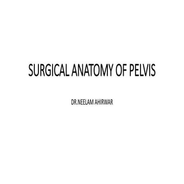 Surgical anatomy of pelvis