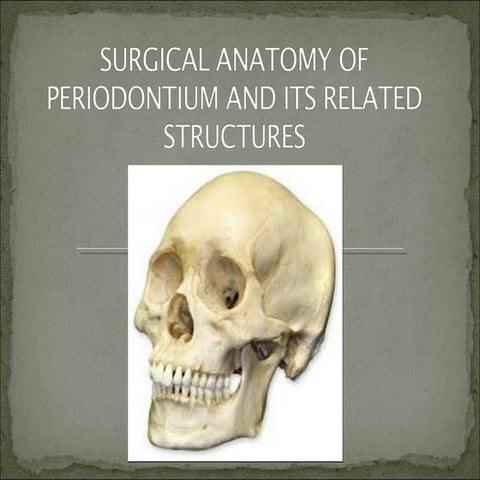 Surgical anatomy of periodontium and  related structures