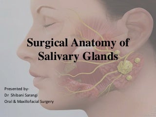 'anatomy of salivary glands' on SlideShare