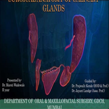 Surgical anatomy of salivary glands | PPTX