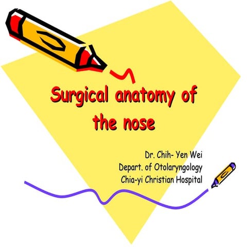 ANATOMY OF NOSE | PDF