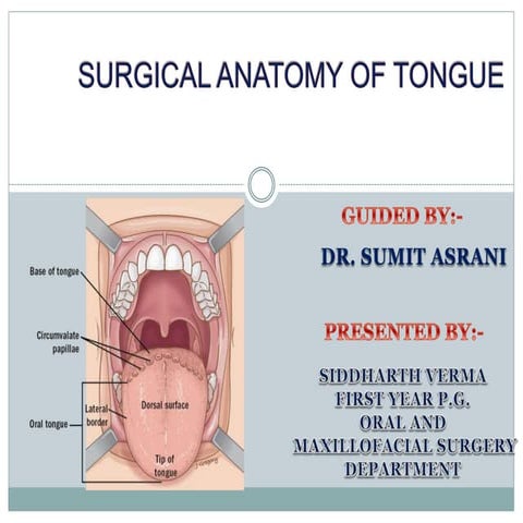 Surgical anatomy of tongue