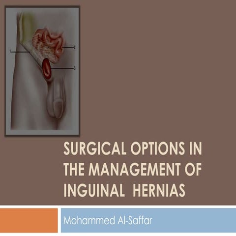 Surgical Options In The Management Of Hernia Repair