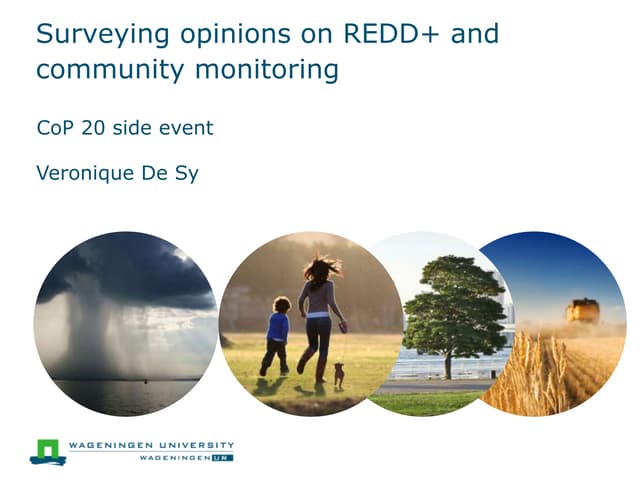 Surveying opinions on REDD+ and community monitoring