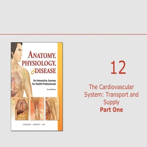Survey of Anatomy and Physiology Chap 12 Part  One