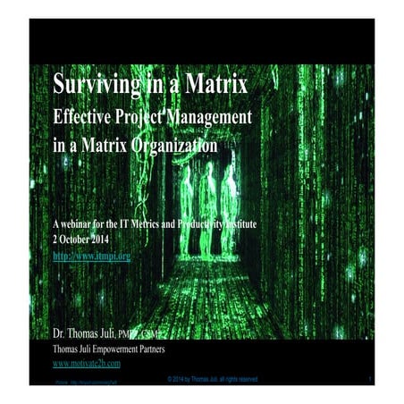 Surviving in a Matrix: Simple Techniques for Effective Project Management in ...