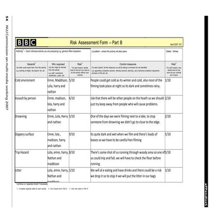 Bb risk assessment | PDF