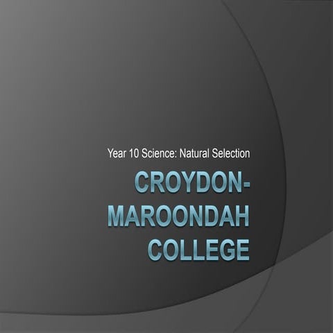 Survival of the sneakiest