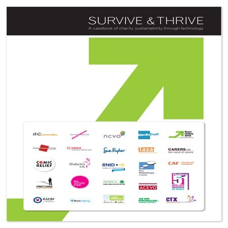 Race Online: Survive and Thrive; A casebook of charity sustainability through...
