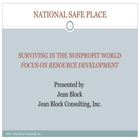 Surviving the nonprofit world jean block