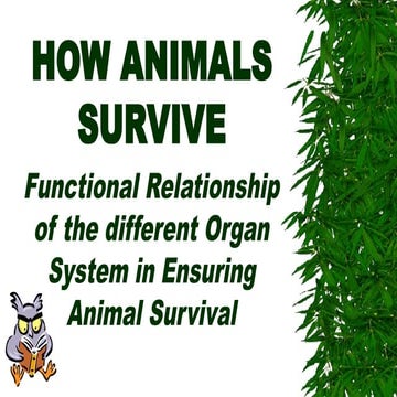 Earth and Earth's Systems Earth and Earth's Systems