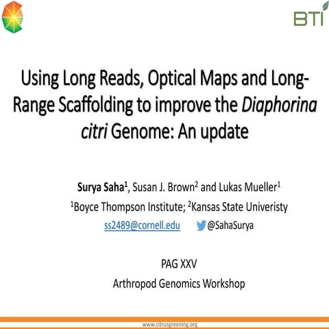 Using Long Reads, Optical Maps and Long-Range Scaffolding to improve the Diap...