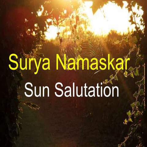 Surya Namaskar (Sun Salutation)