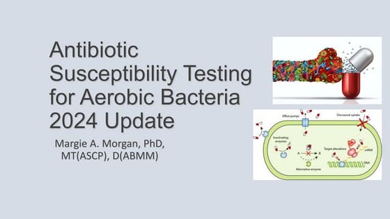 Susceptibility Update 2024 | Microbes with Morgan