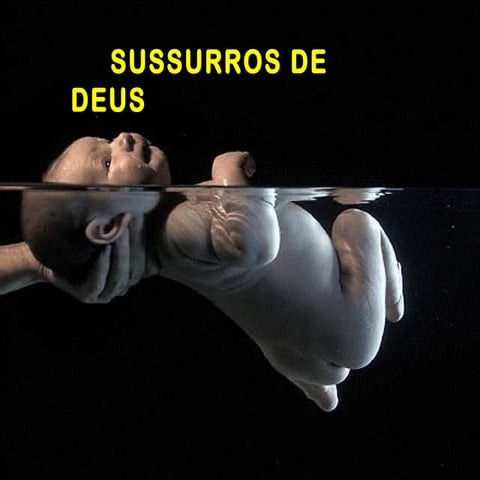 Sussurros de deus