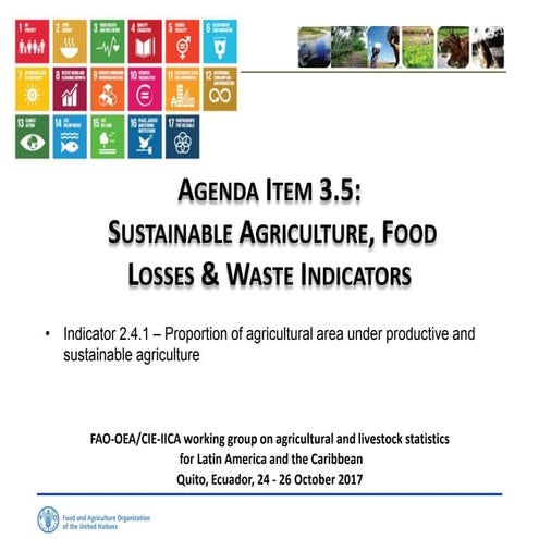Sust Agriculture SDG 2.4.1_ENGLISH
