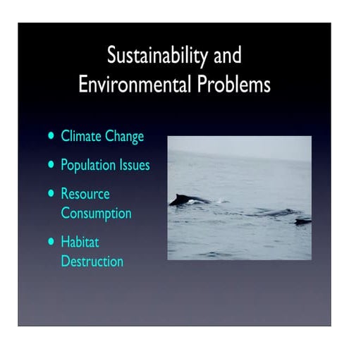 Sustainability & Environmental Problems