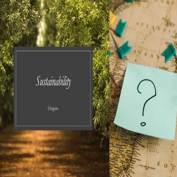 Spatial patterns activity | PPTX