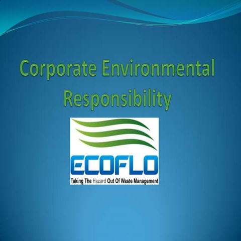 Sustainability  corporate social responsibility (ss)