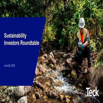 Sustainability-Leadership.pdf
