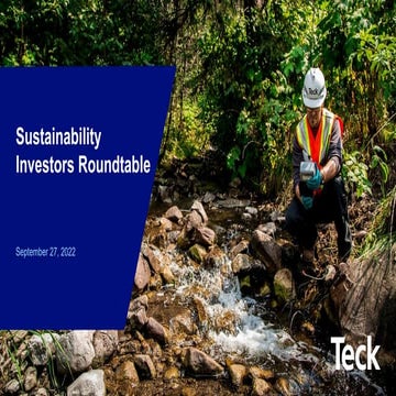 Sustainability-Leadership.pdf