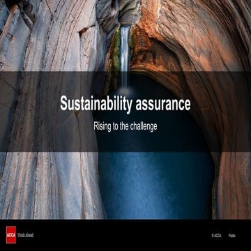 Sustainability assurance - rising to challenge.pptx