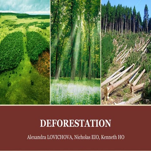 Deforestation: Causes, Effects and Solutions