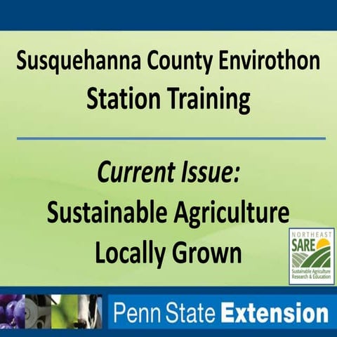 Sustainability in cattle production