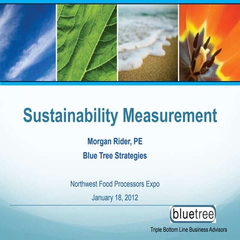 Sustainability measurement | PPTX