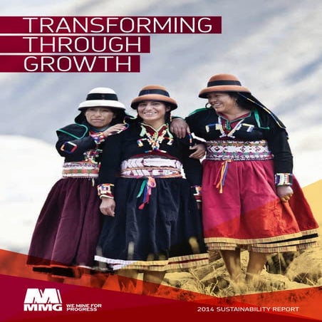 Sustainability Report 2014