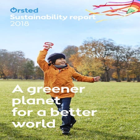Sustainability report 2018 | PDF