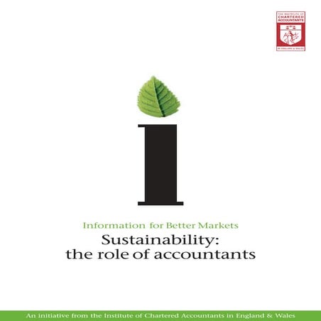 Sustainability role of accountants