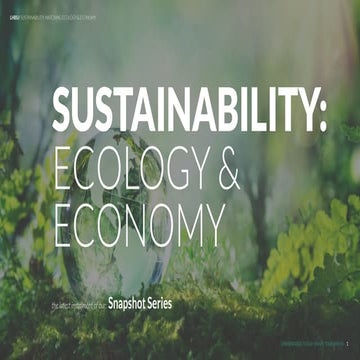 Sustainability: Ecology & Economy // Snapshot Series 