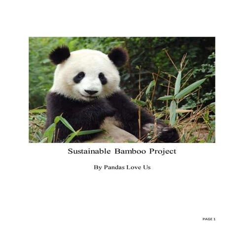 Sustainable bamboo project