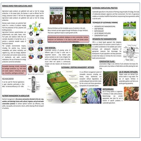 sustainable croping.pptx
