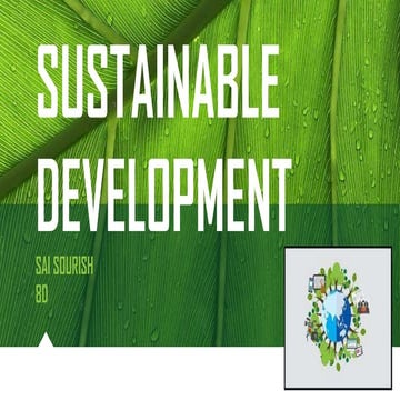 Sustainable development.pptx