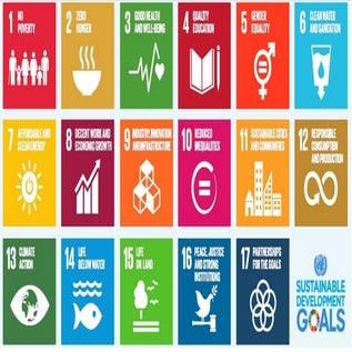 Sustainable development goals