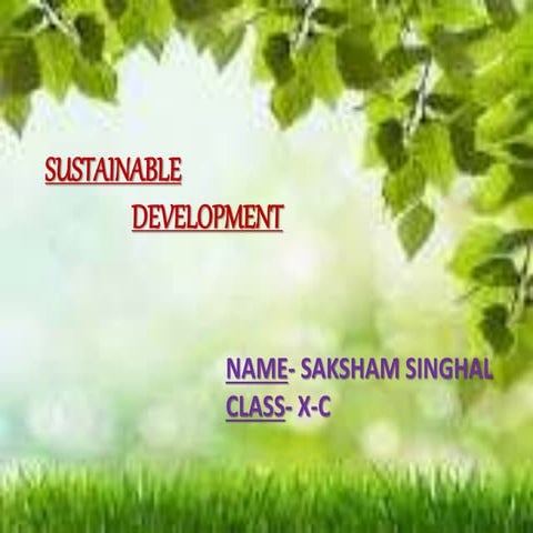 Sustainable development  