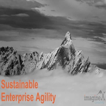 Sustainable Enterprise Agility 