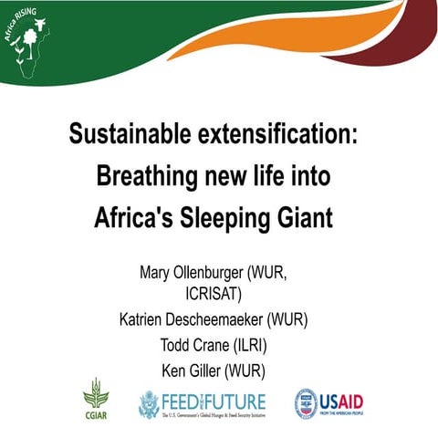 Sustainable extensification: Breathing new life to Africa's sleeping giant
