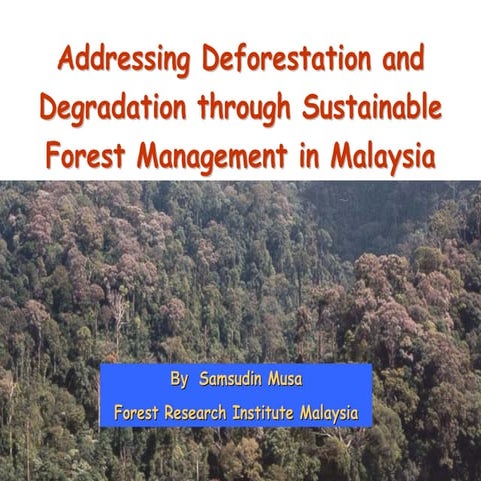 Sustainable forest management malaysia