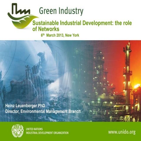 Sustainable Industrial Development: The Role of Networks