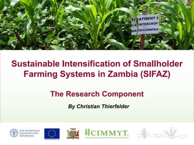 Sustainable intensification of smallholder farming systems in zambia