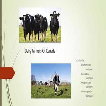 Sustainable Product Presentation