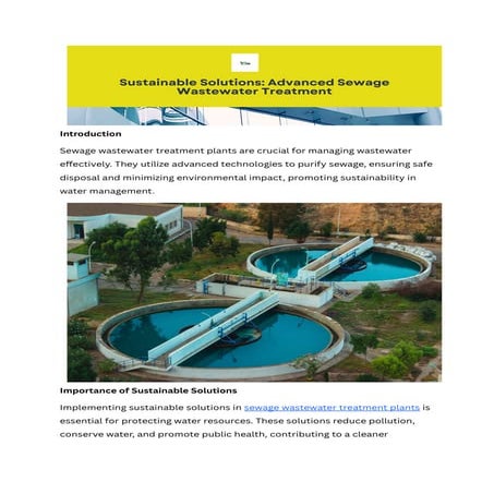 Water Treatment in South Africa A Sustainable Approach.pdf
