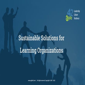 Sustainable Solutions for Learning Organizations
